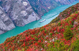 021. Hubei | PrHemium Autumn Red Leaf Route in the Three Gorges.