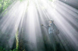 024. Guizhou | Wilderness Guizhou. Hiking in Maolin Forest.