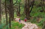 012. Sichuan | Uncover the Secrets of the Ancient State of Shu on the Jinniu Ancient Road Hike. Conquer the Formidable Jianmen Pass